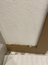 Mold on wall by shower