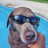 Loxley enjoying the Oasis.