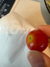 汚れている野菜類