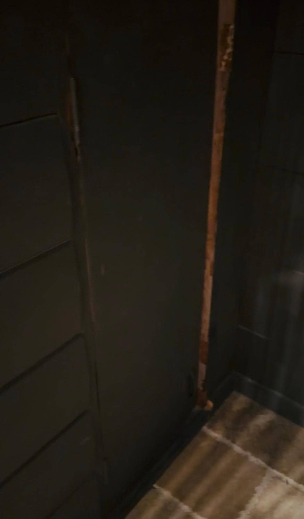 One of the doors in the cage under the stairs