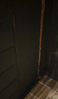 One of the doors in the cage under the stairs