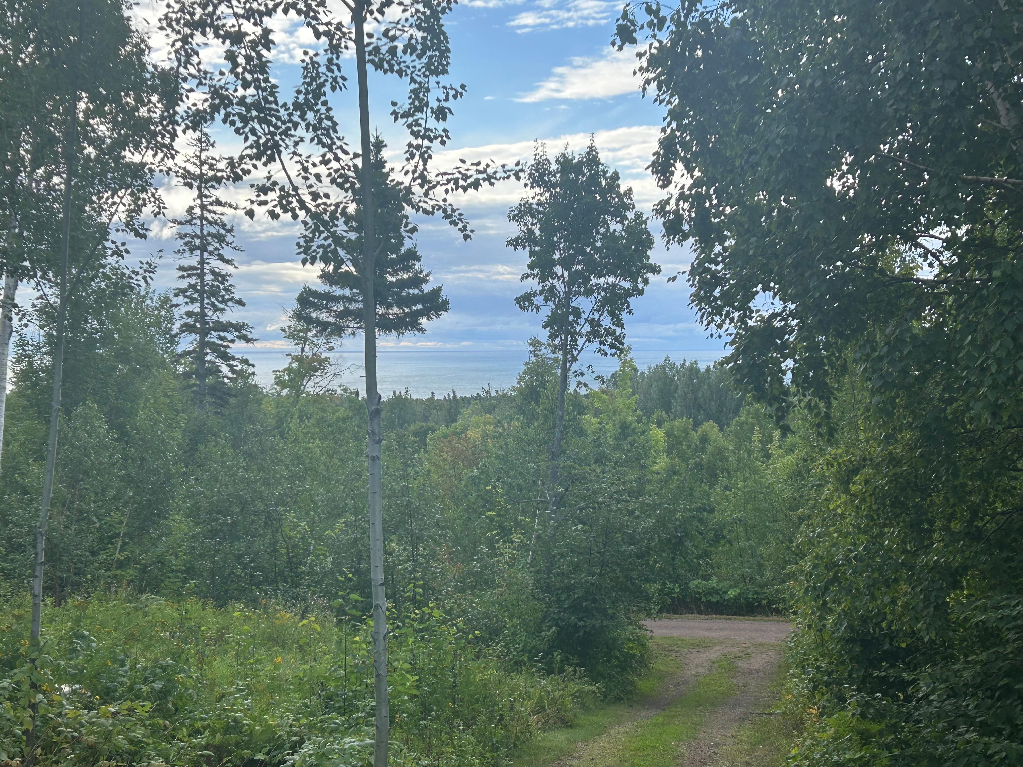 View of the lake from the deck. 