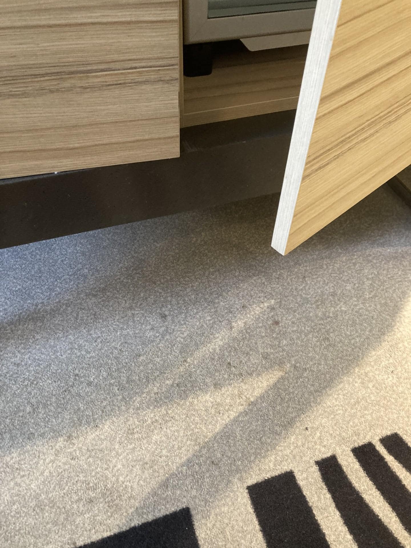 Cupboard doors and carpet in our room