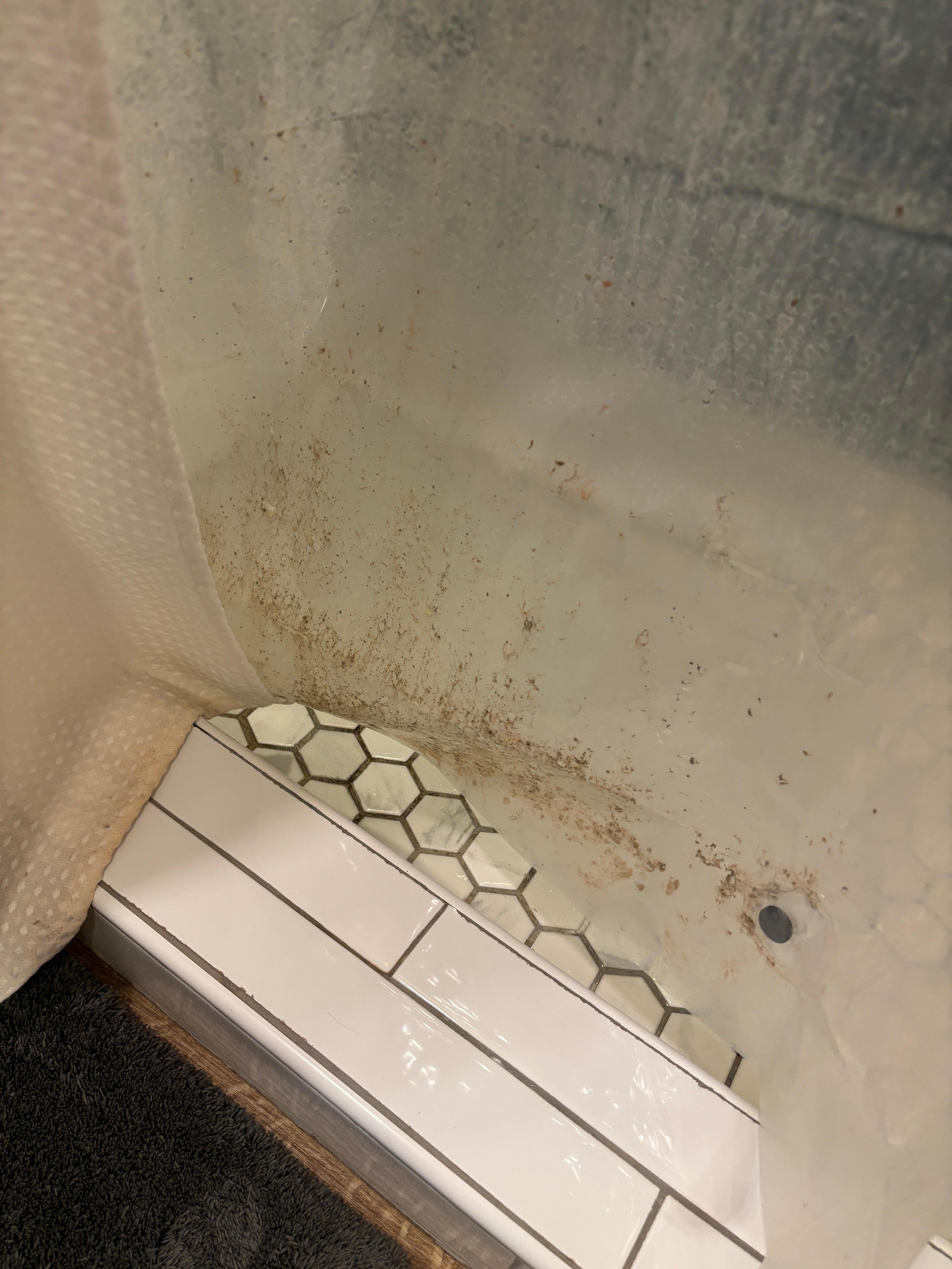 Really dirty shower with mold.