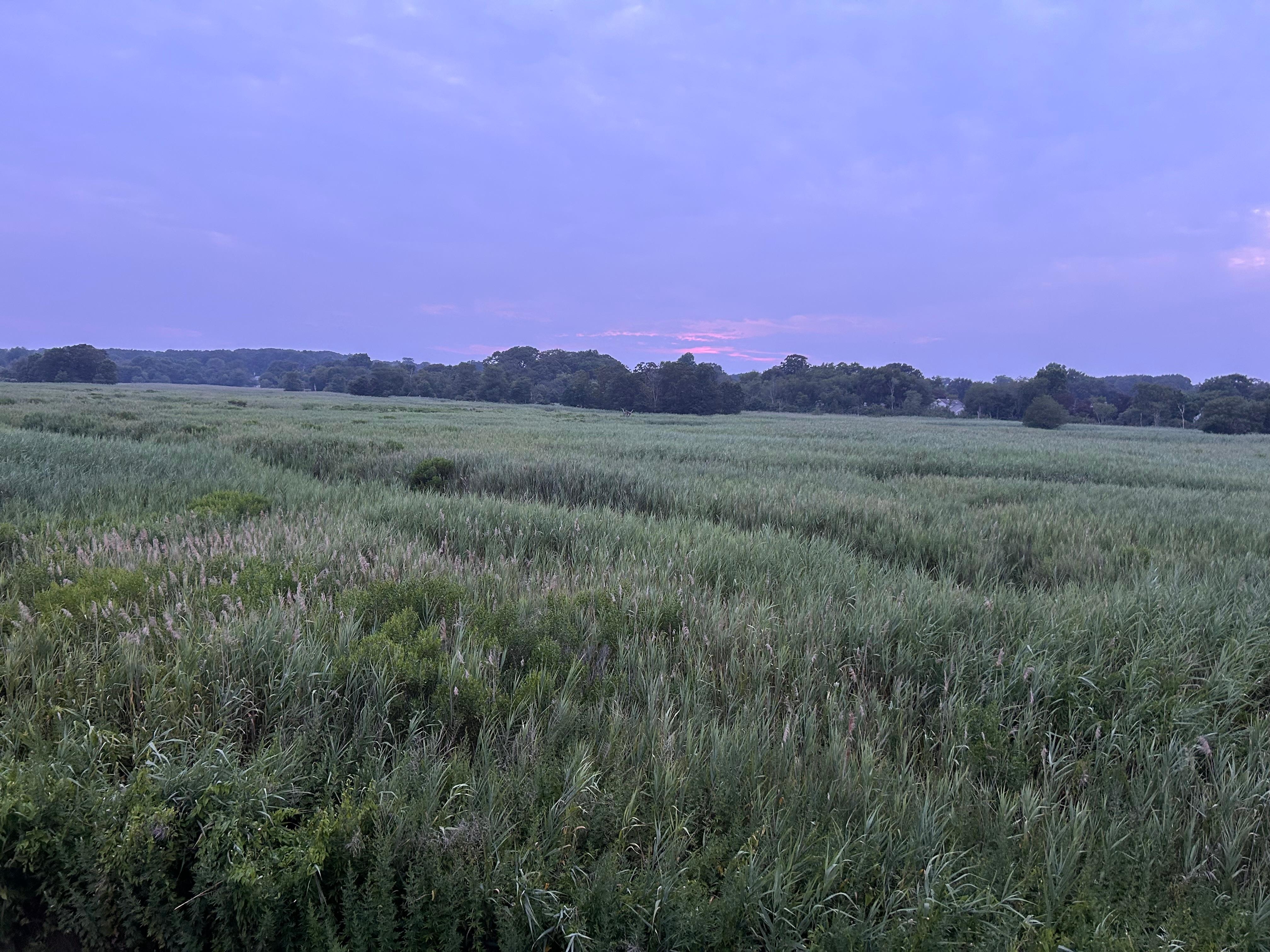 Perfect evening setting 