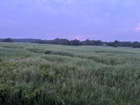 Perfect evening setting