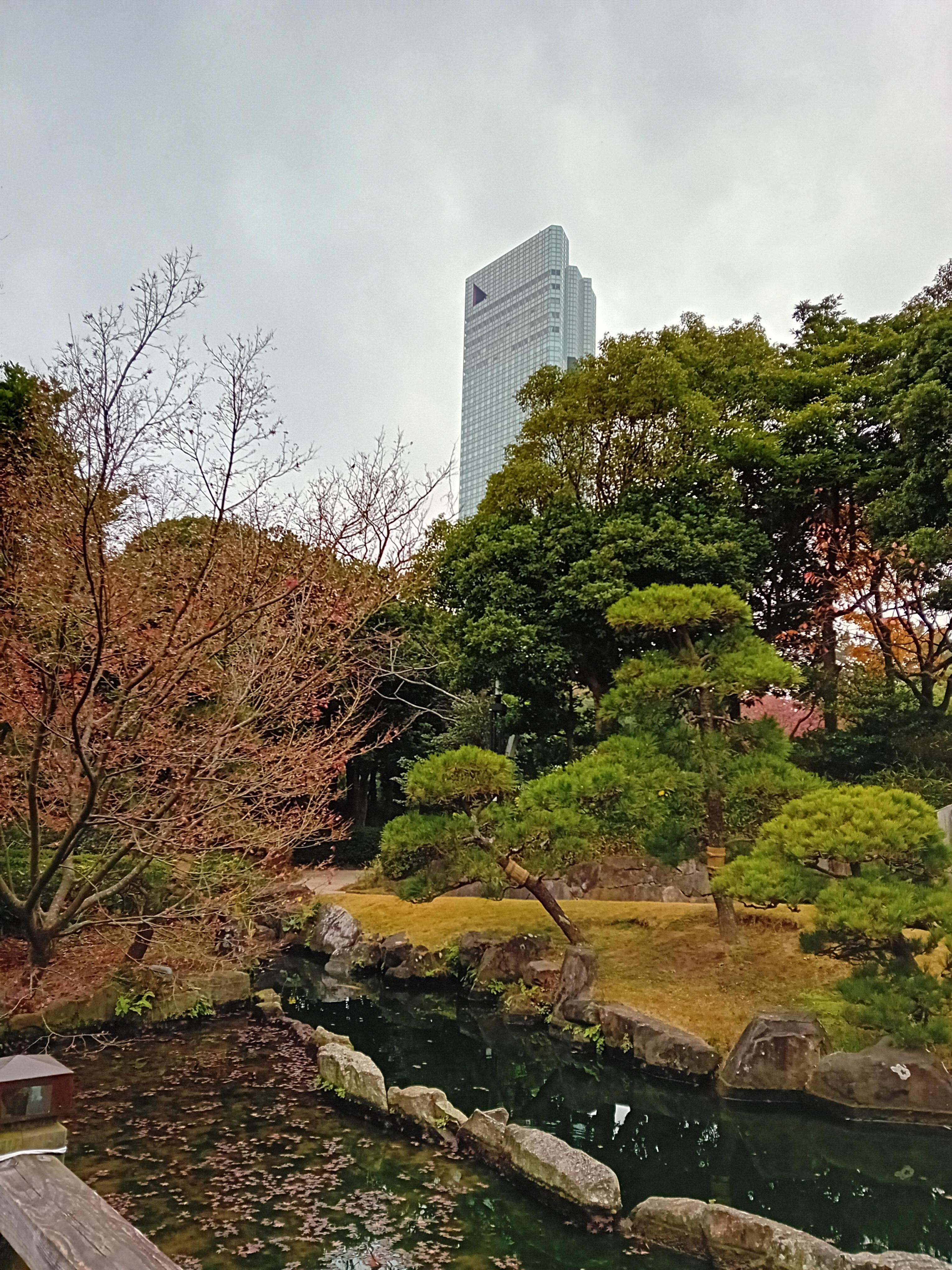 Hotel from nearby garden