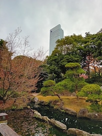 Hotel from nearby garden
