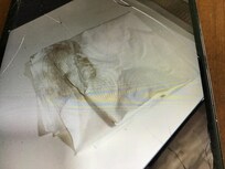 One swipe of kitchen floor