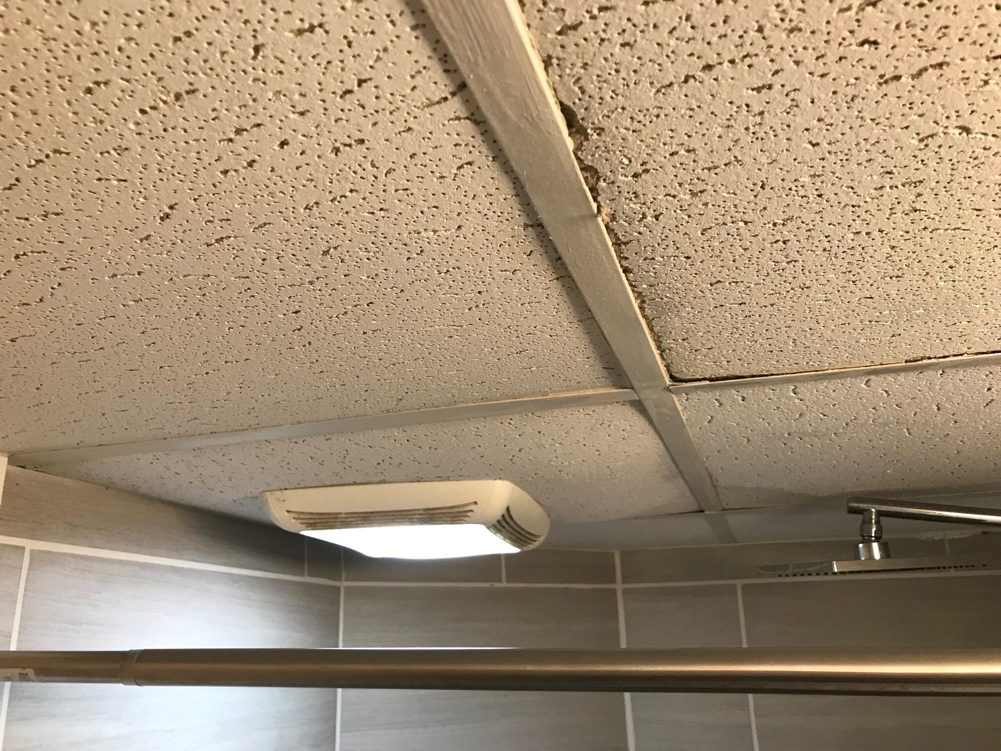 the bathroom ceiling