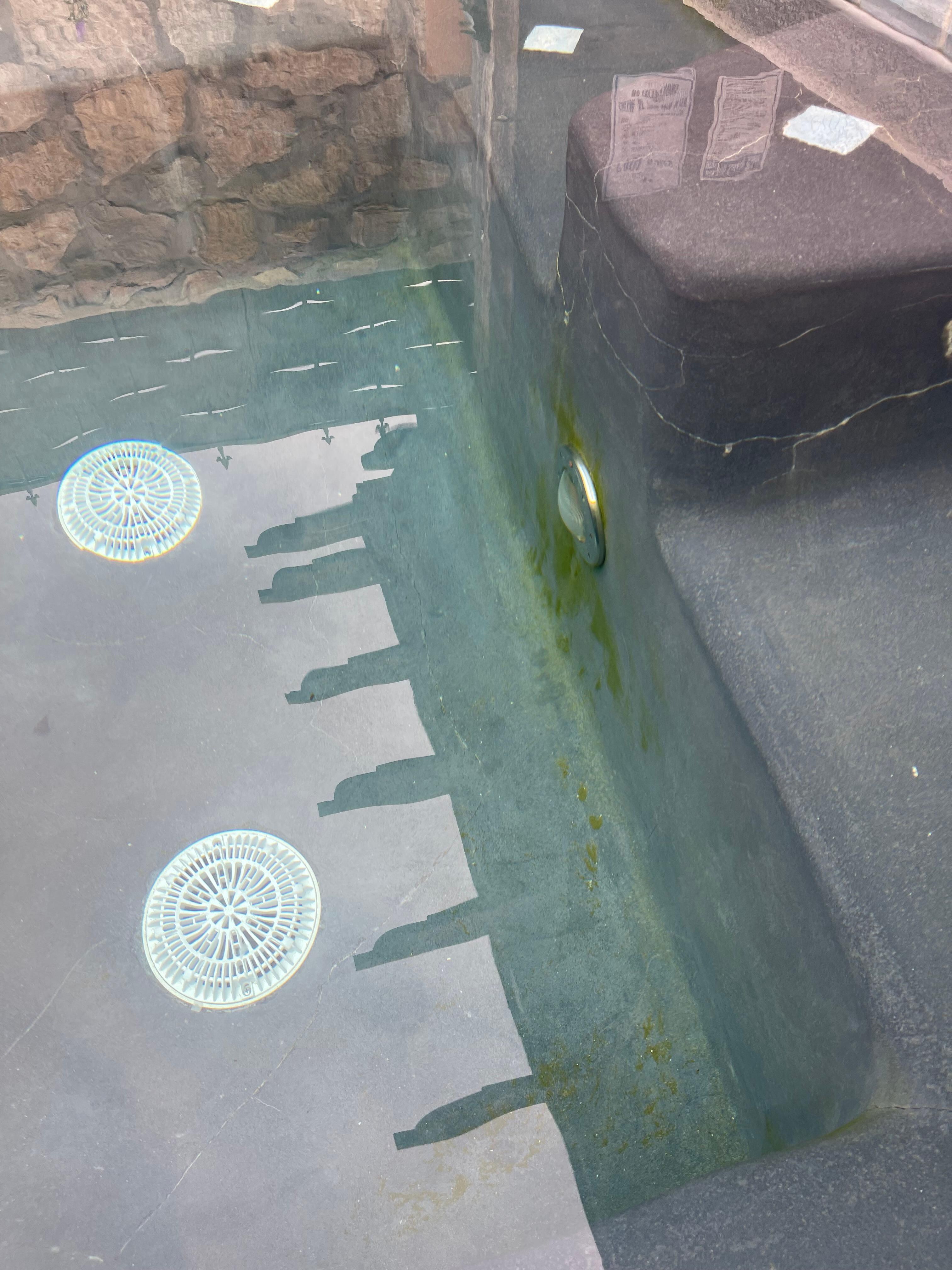 Algae along the walls of the hot tub