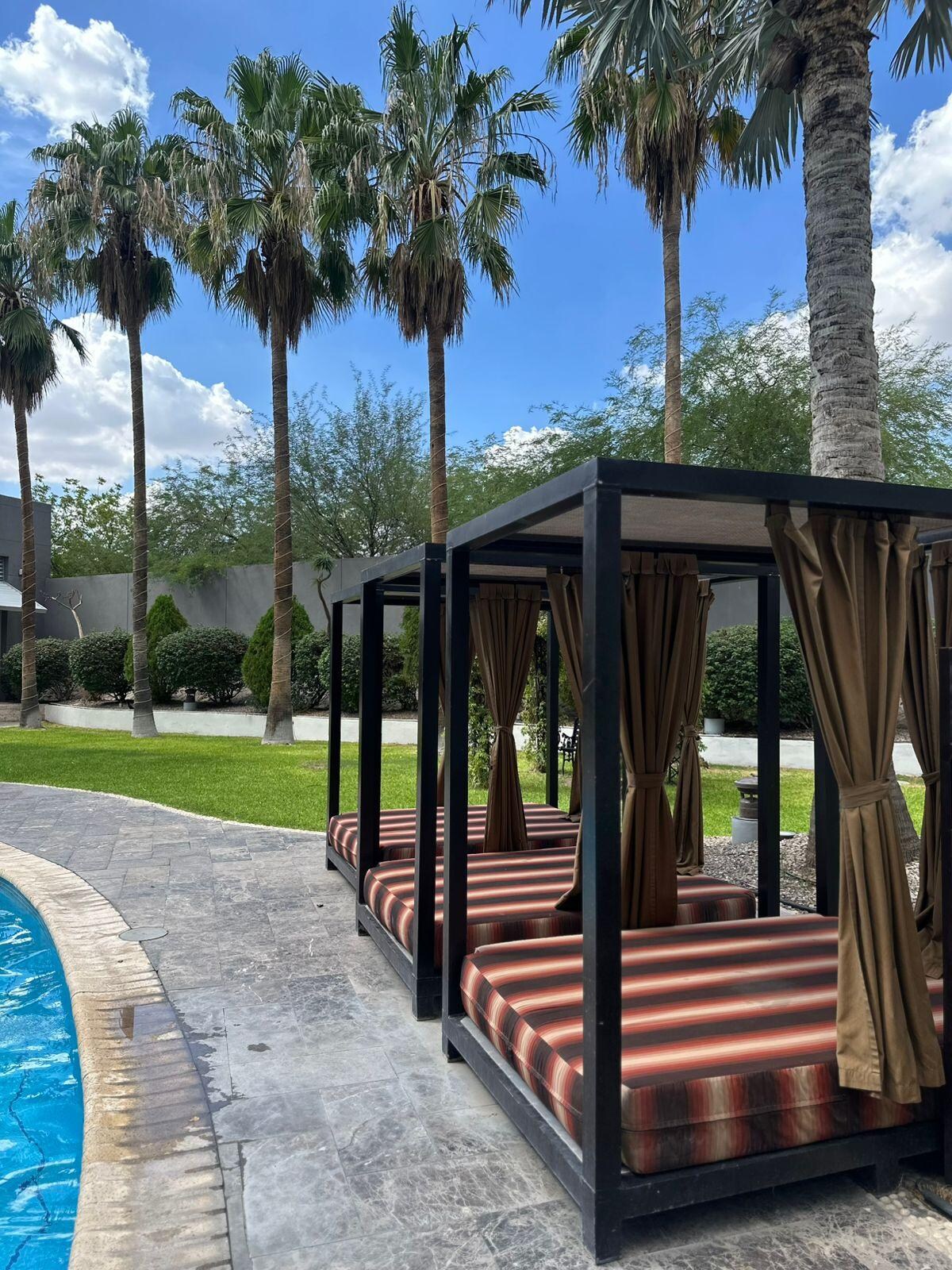 camastros frente a la alberca