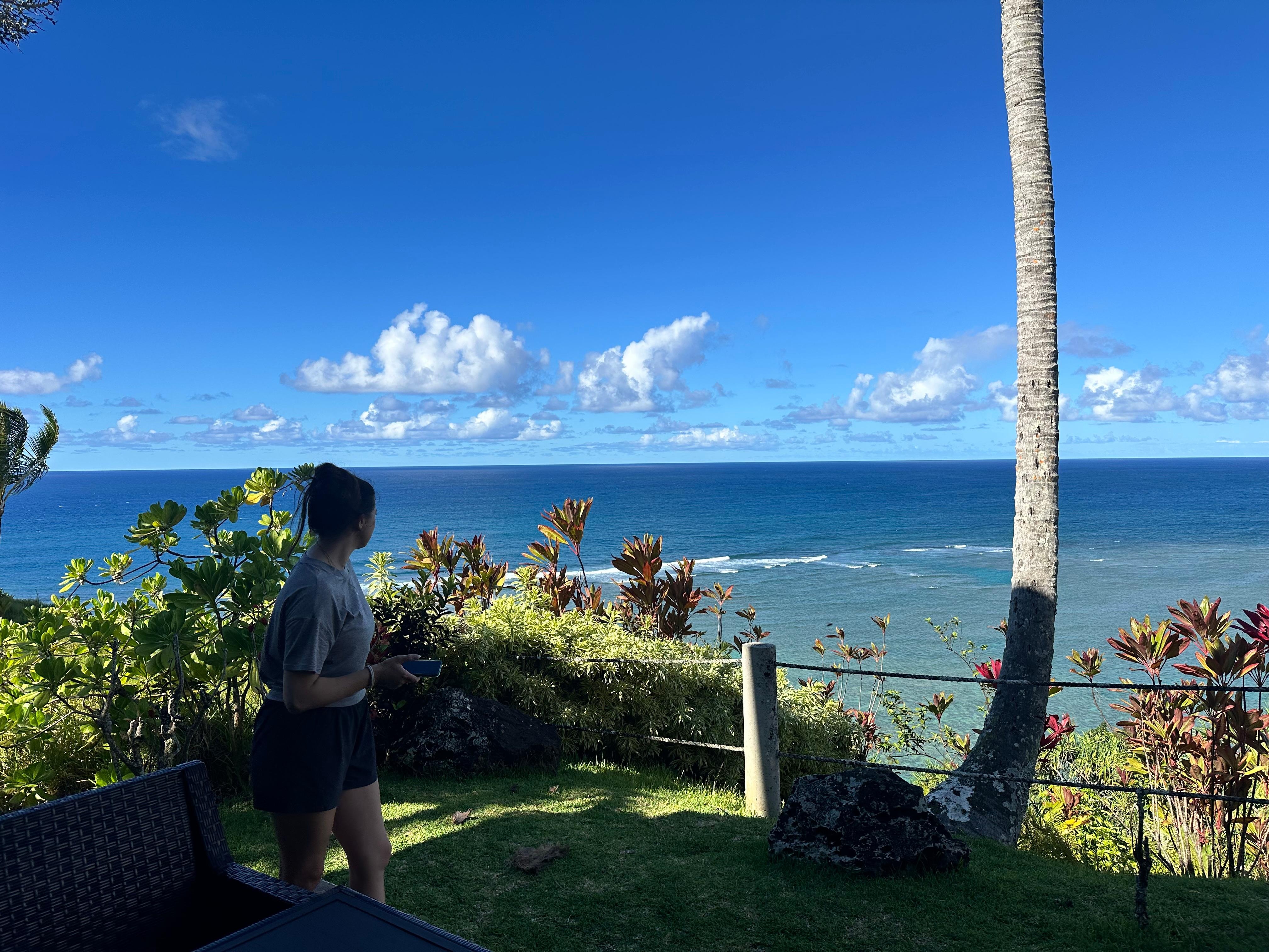 View from the Patio. 