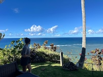 View from the Patio.