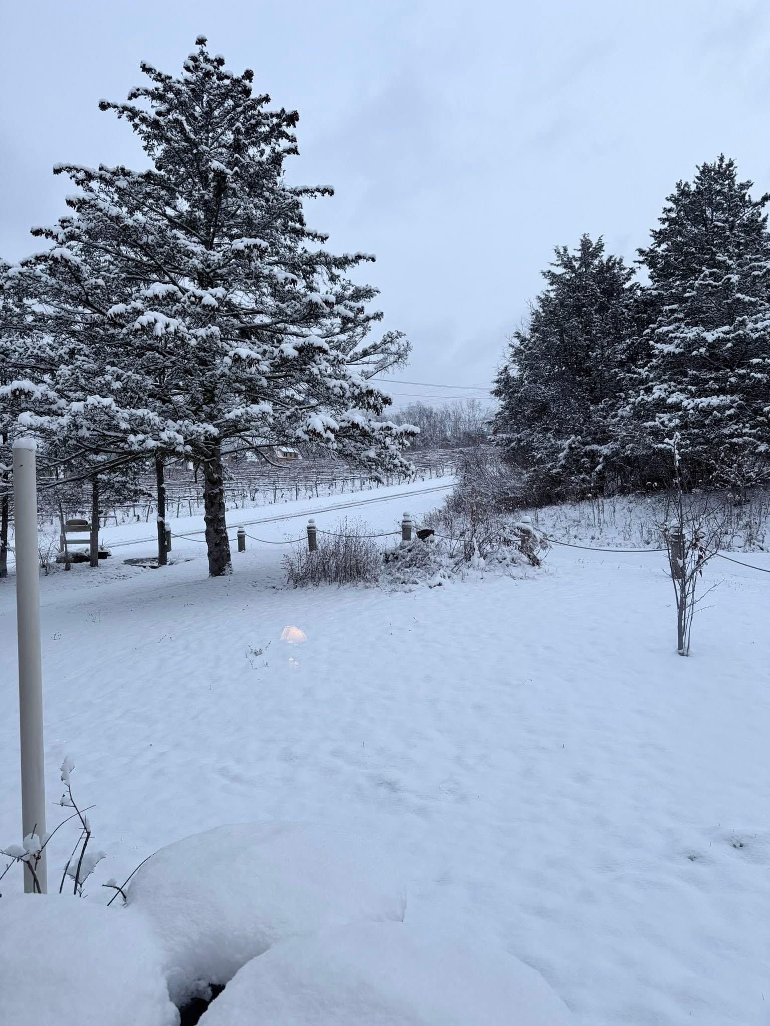 Thanksgiving morning!  