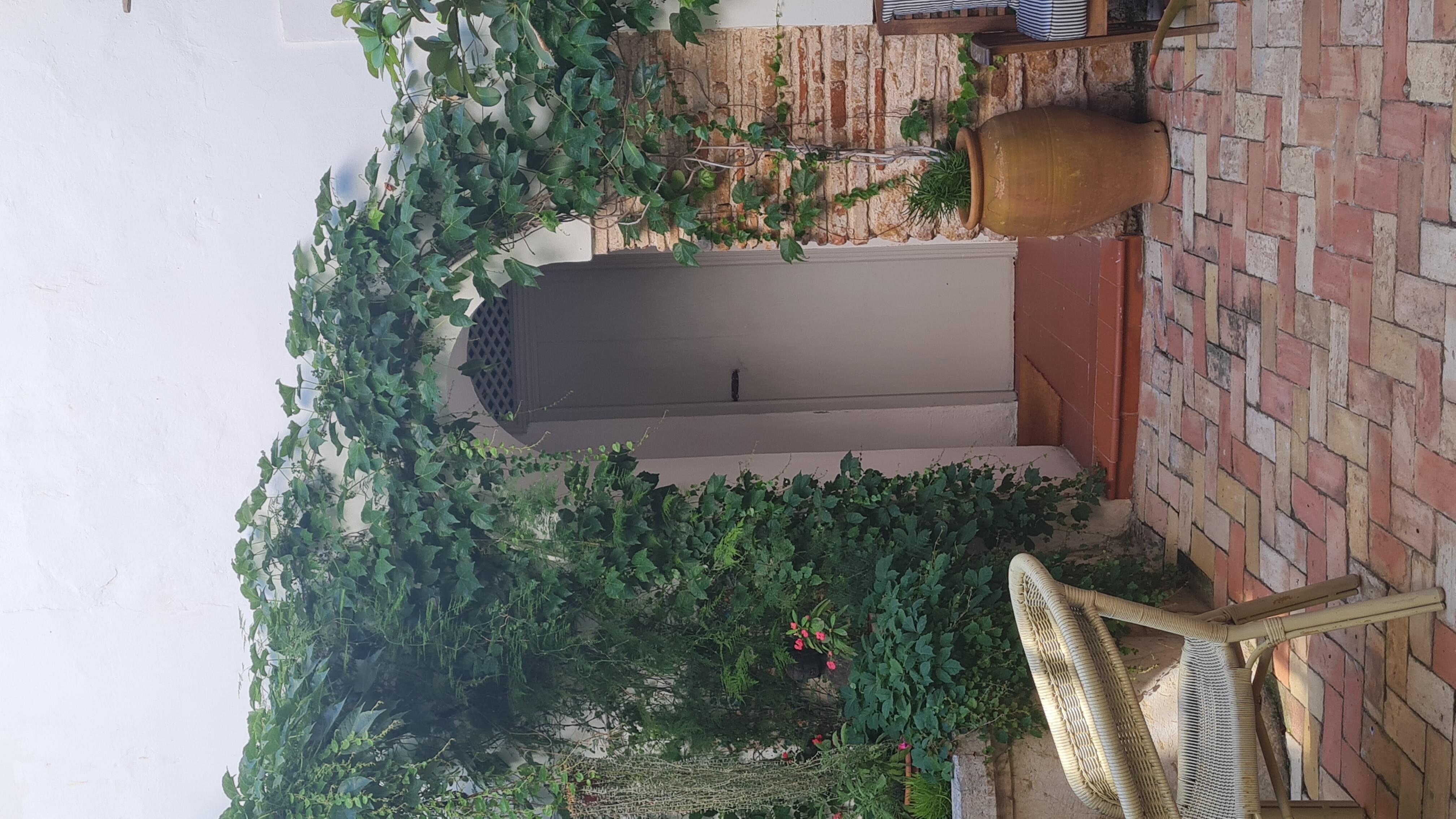 Beautiful court yard 