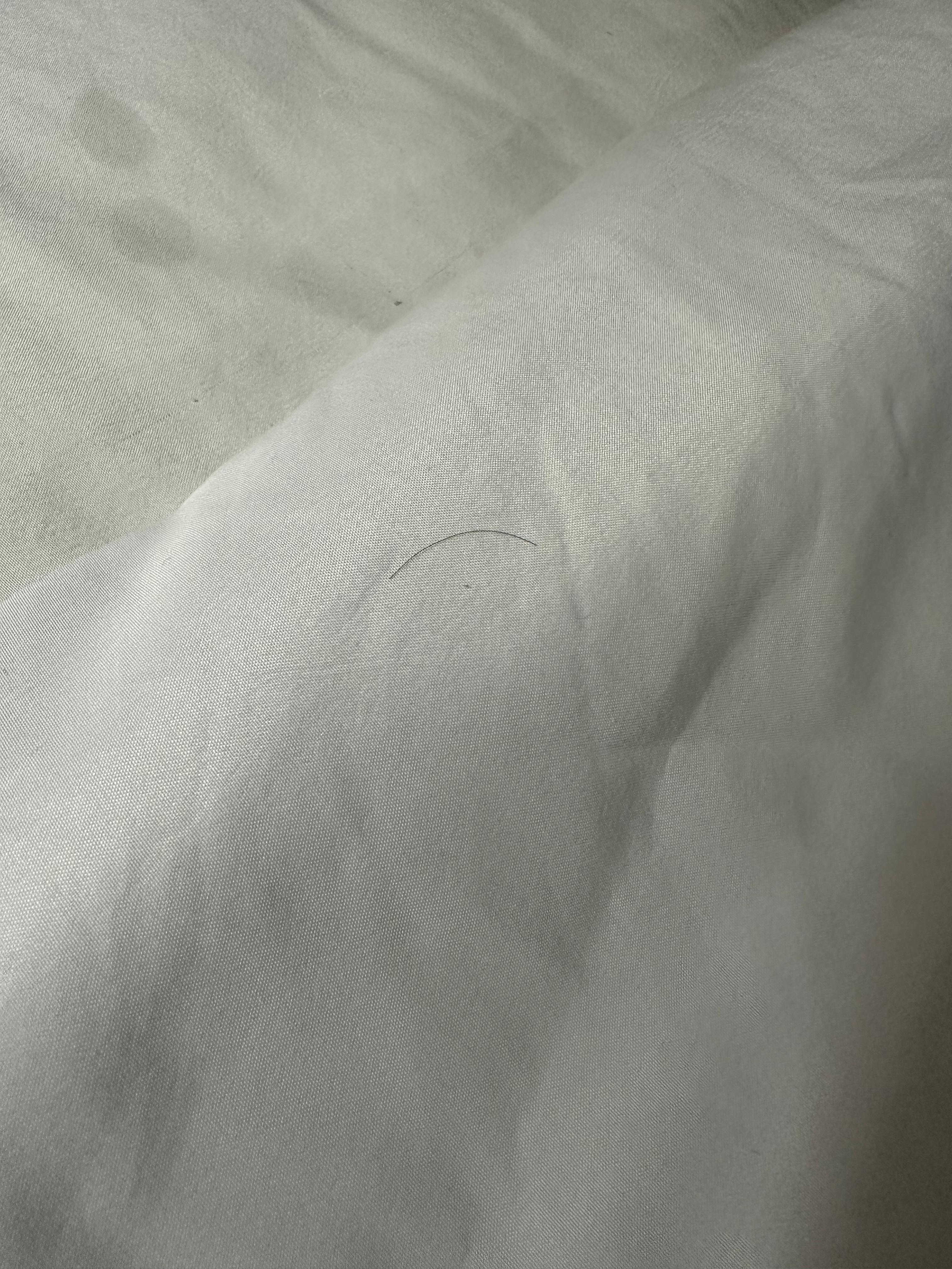 Stained/ dirty bedding with hair