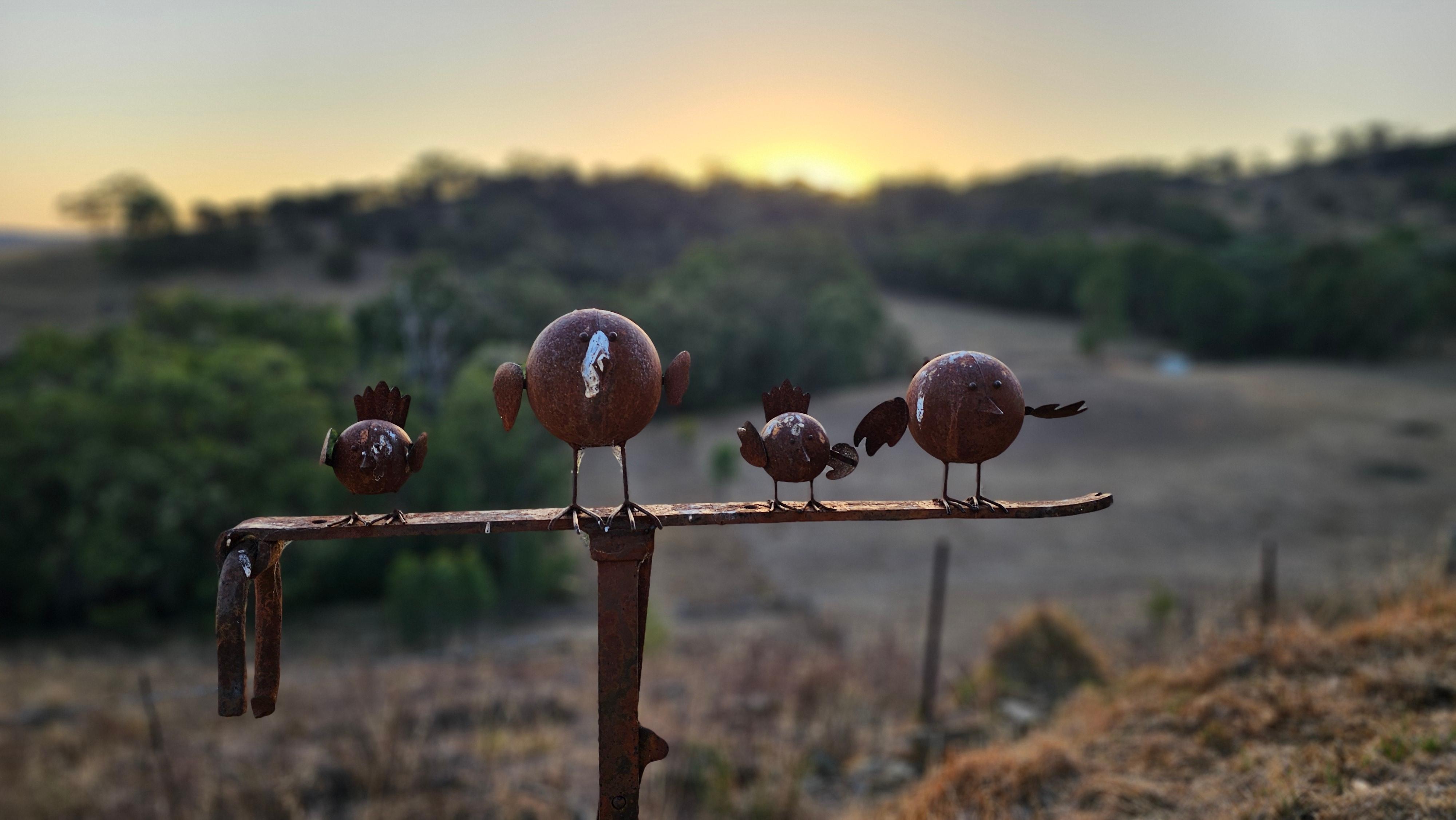 Sunrise from the East