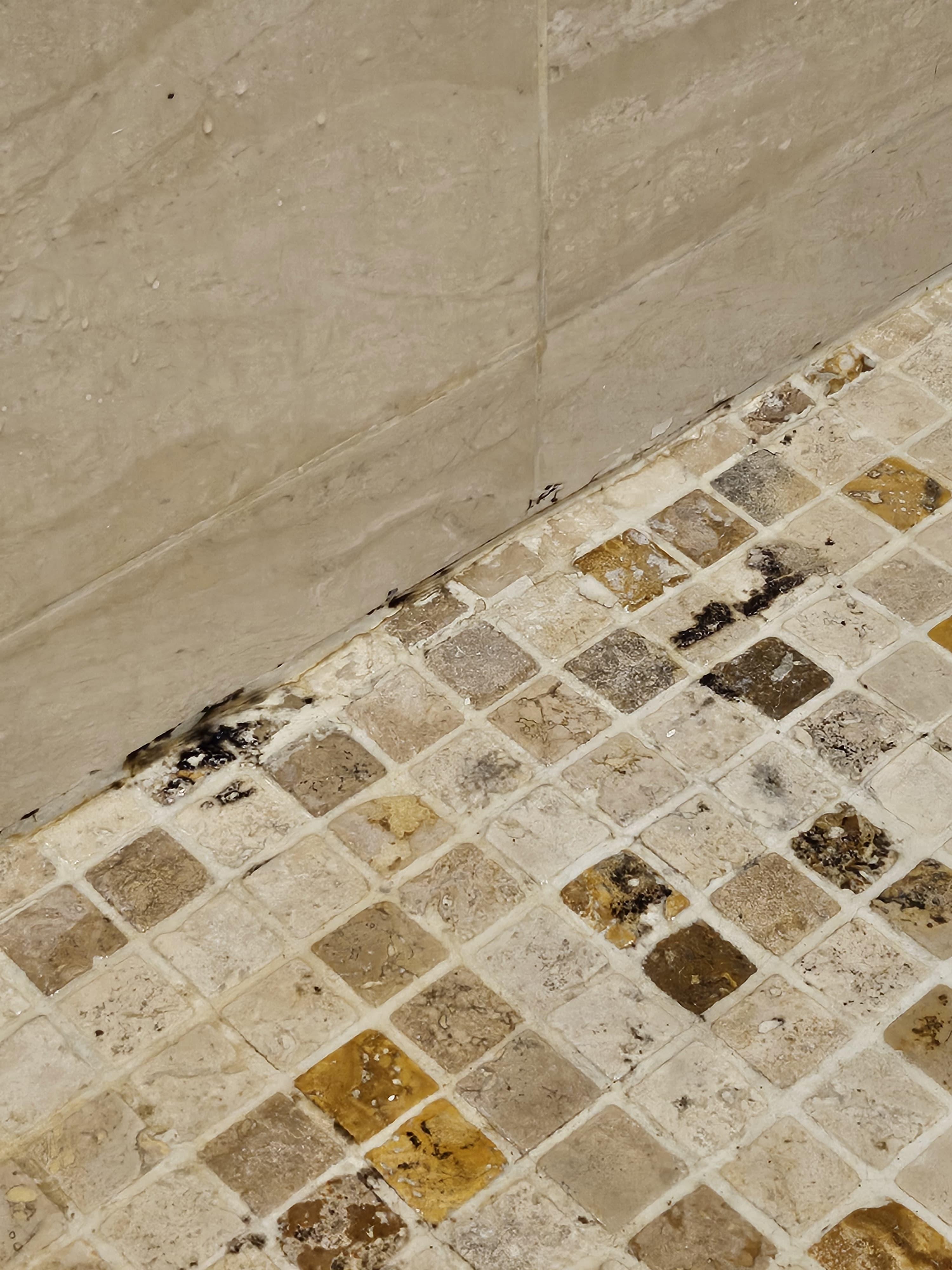 Carrelage avec moisissure dans la douche à l'italienne 