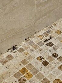 Carrelage avec moisissure dans la douche à l'italienne
