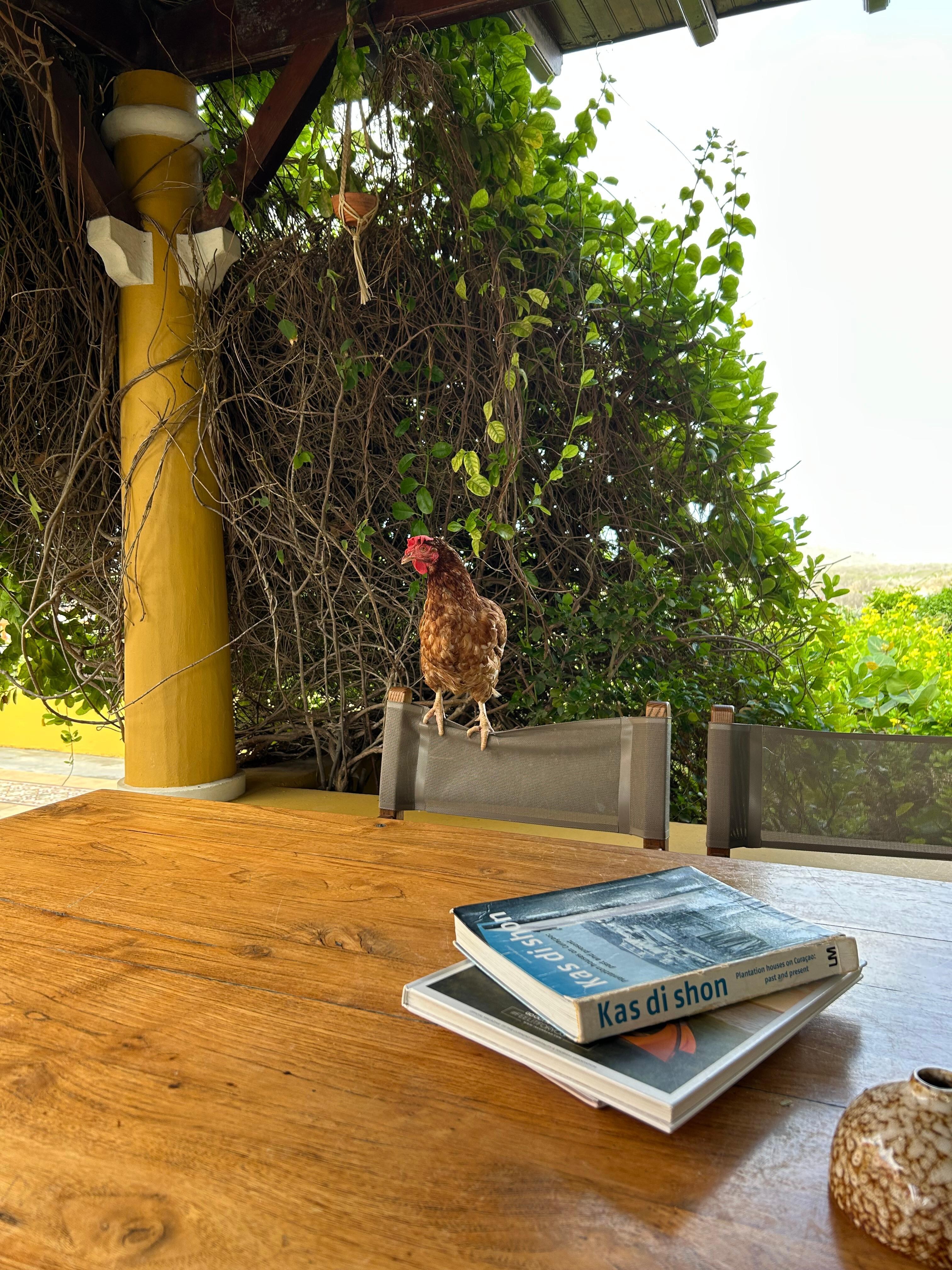 breakfast buddy