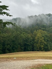 Views from a cabin