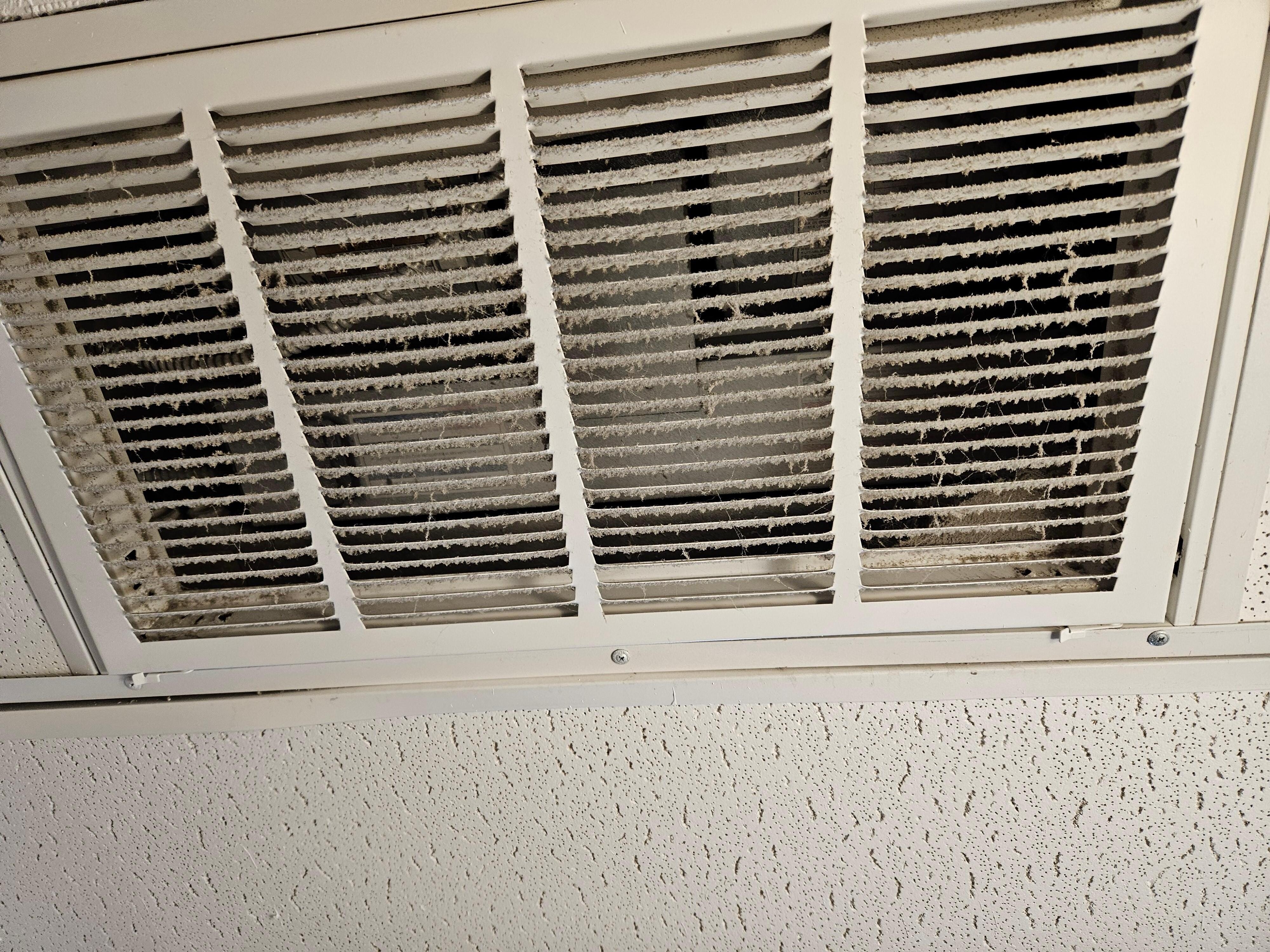 Very thick dust in our rooms air return.