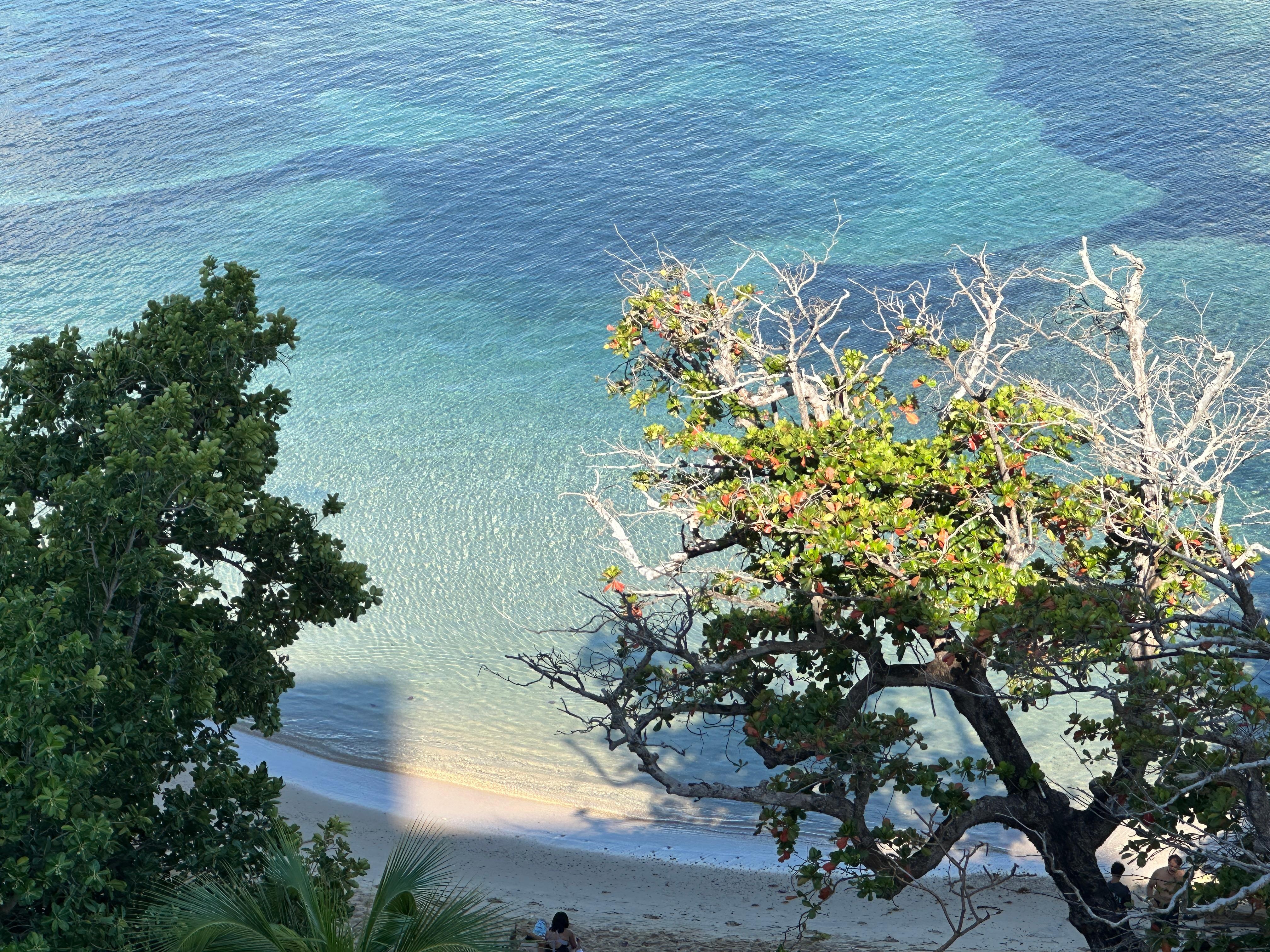 View of the beach from the porch