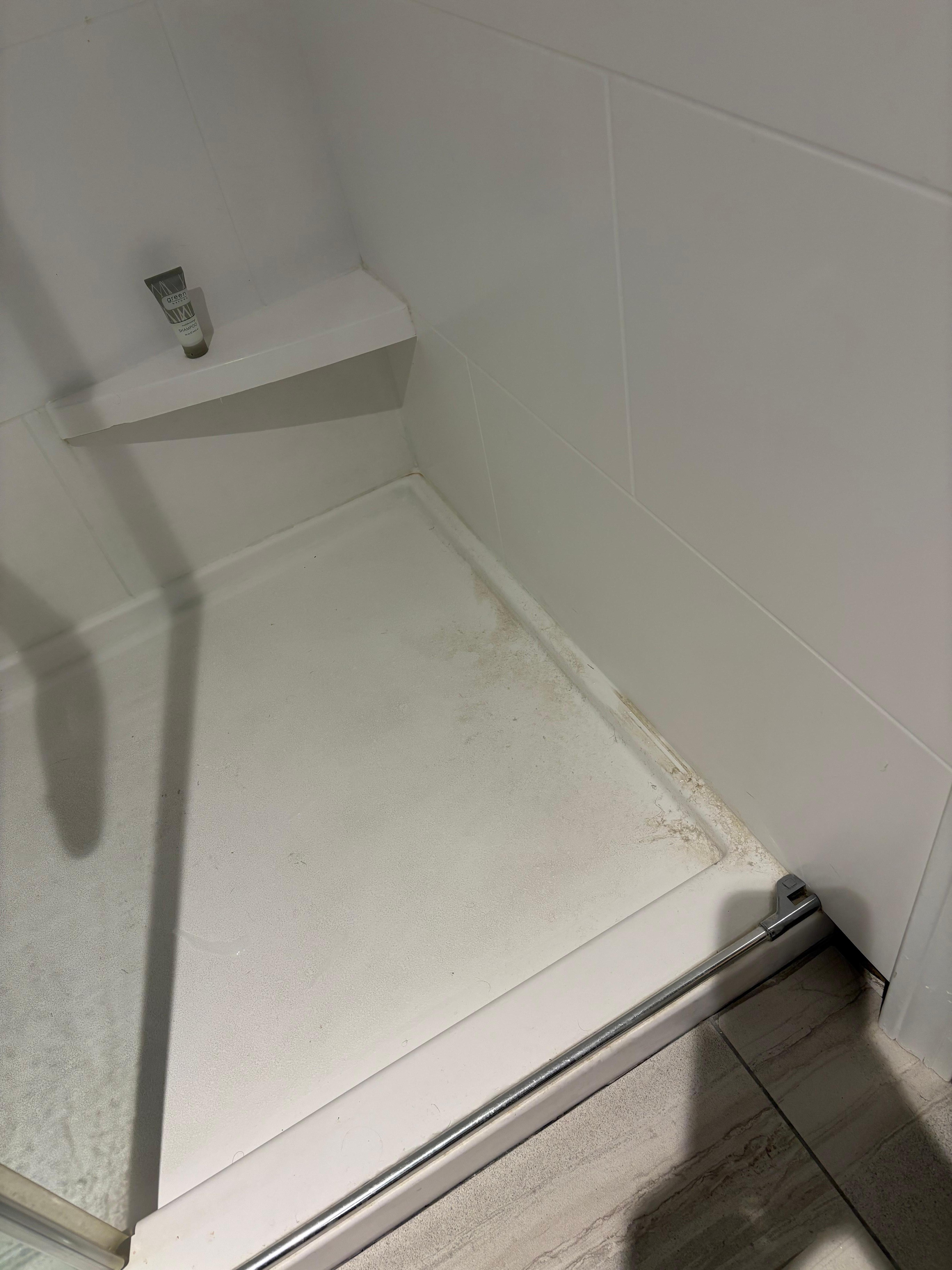 Shower was incredibly dirty before we even used it 