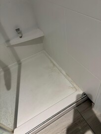 Shower was incredibly dirty before we even used it