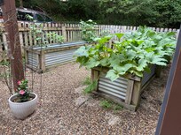 Sweet little garden