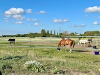 Next to horse stabkes.