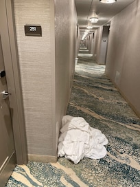 Housekeeping placed this dirty laundry in front of our door! I had to move it.