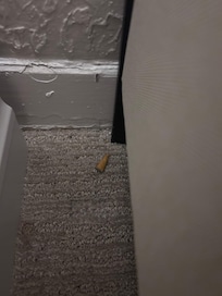 Cigarette butt next to the bed