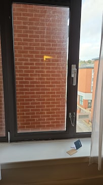 The 'veiw' from my bedroom.