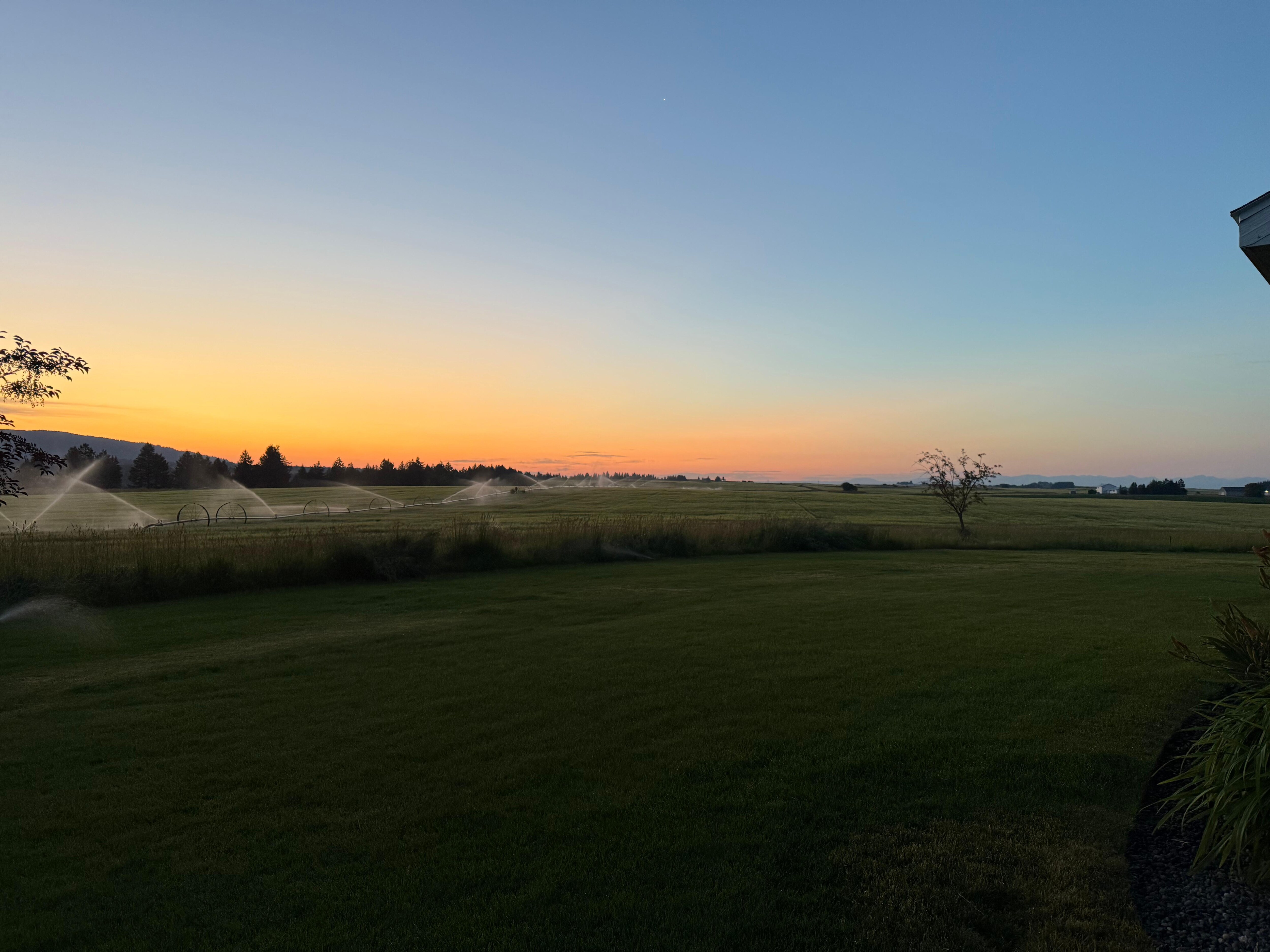 Sunrise