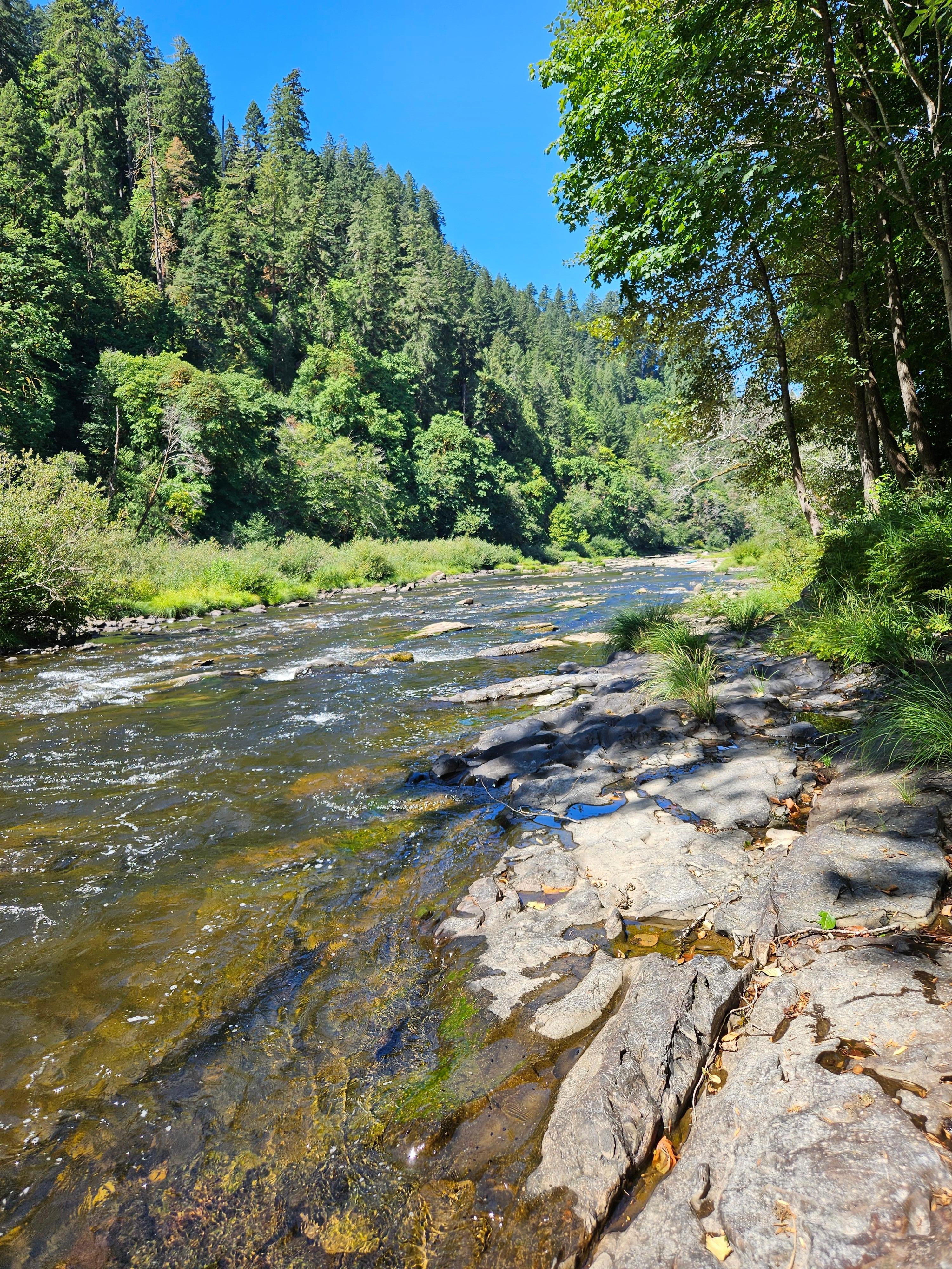 River that runs by the cabin