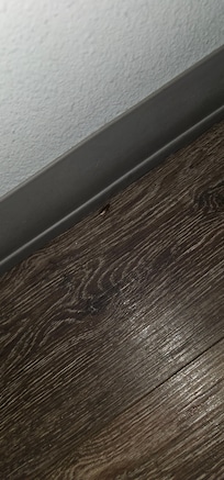 We didn't feel comfortable seeing roaches during our stay.