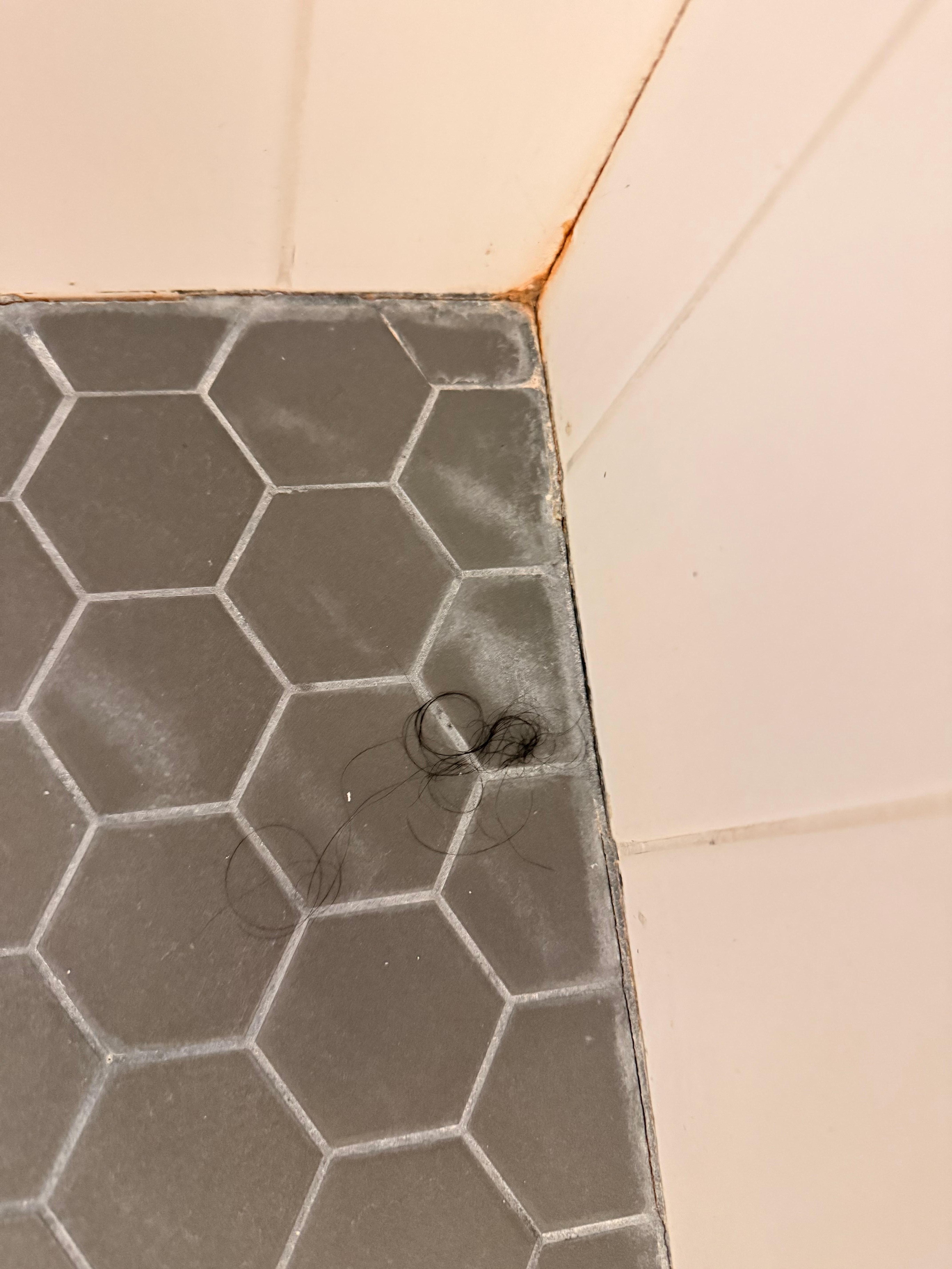 Big hairball in bottom of shower