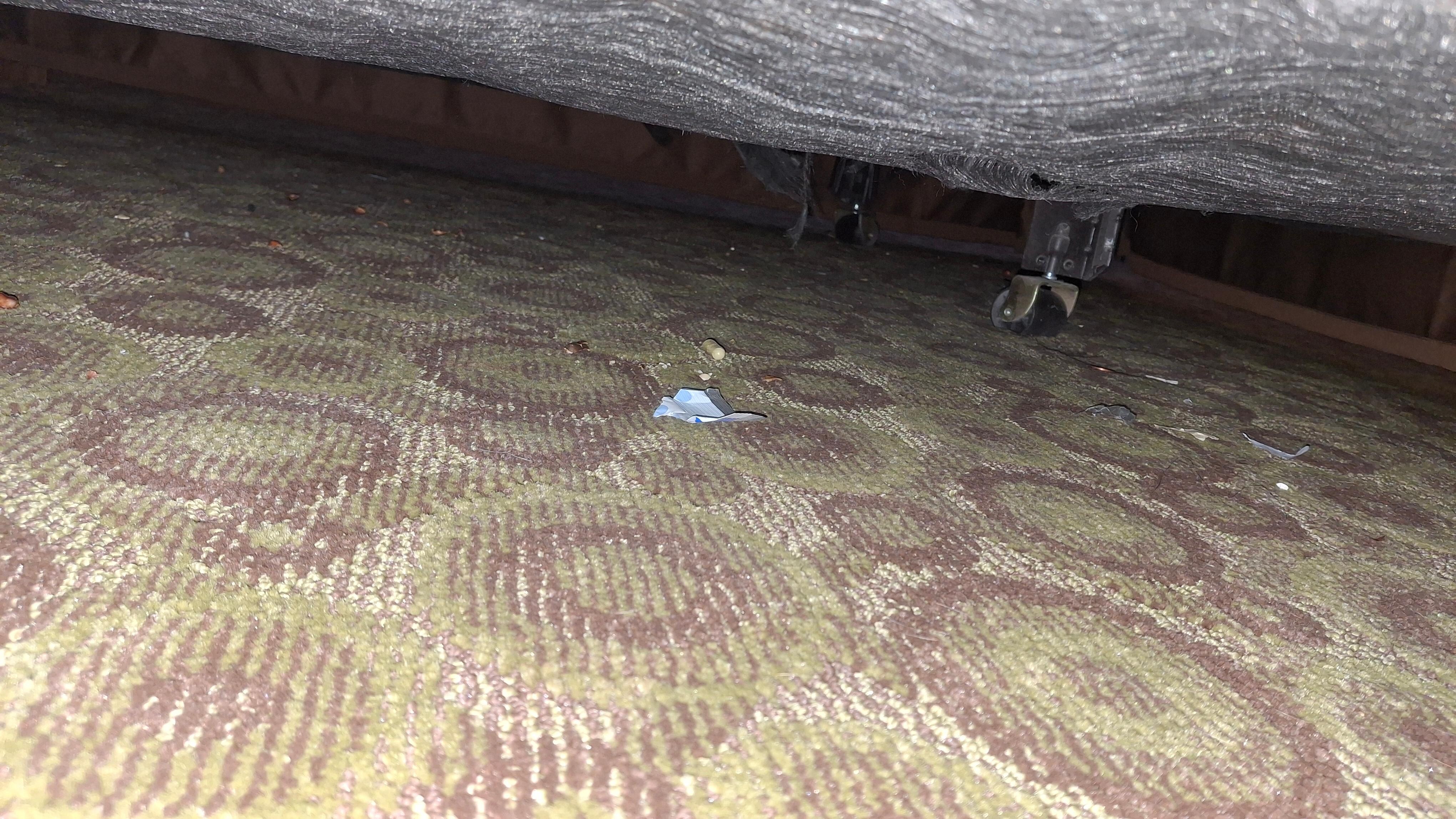 Cute tip left on rug