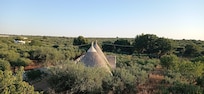 Vista desde la terraza del olivar y un "trullo" típico de la región