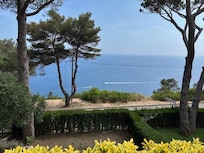 View from the back terrace