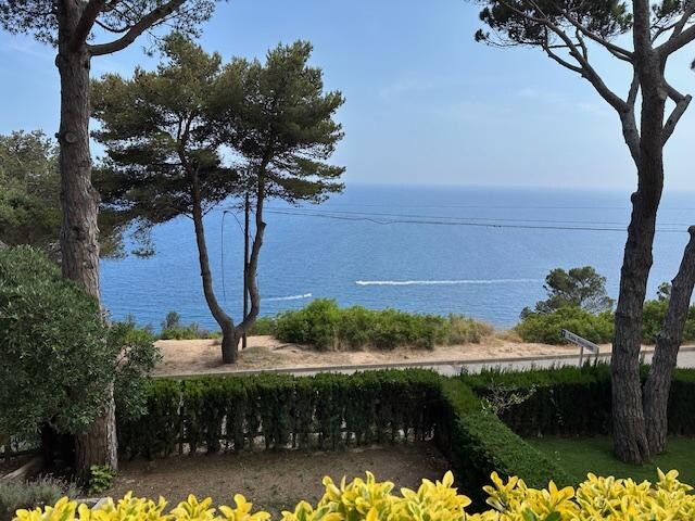 View from the back terrace