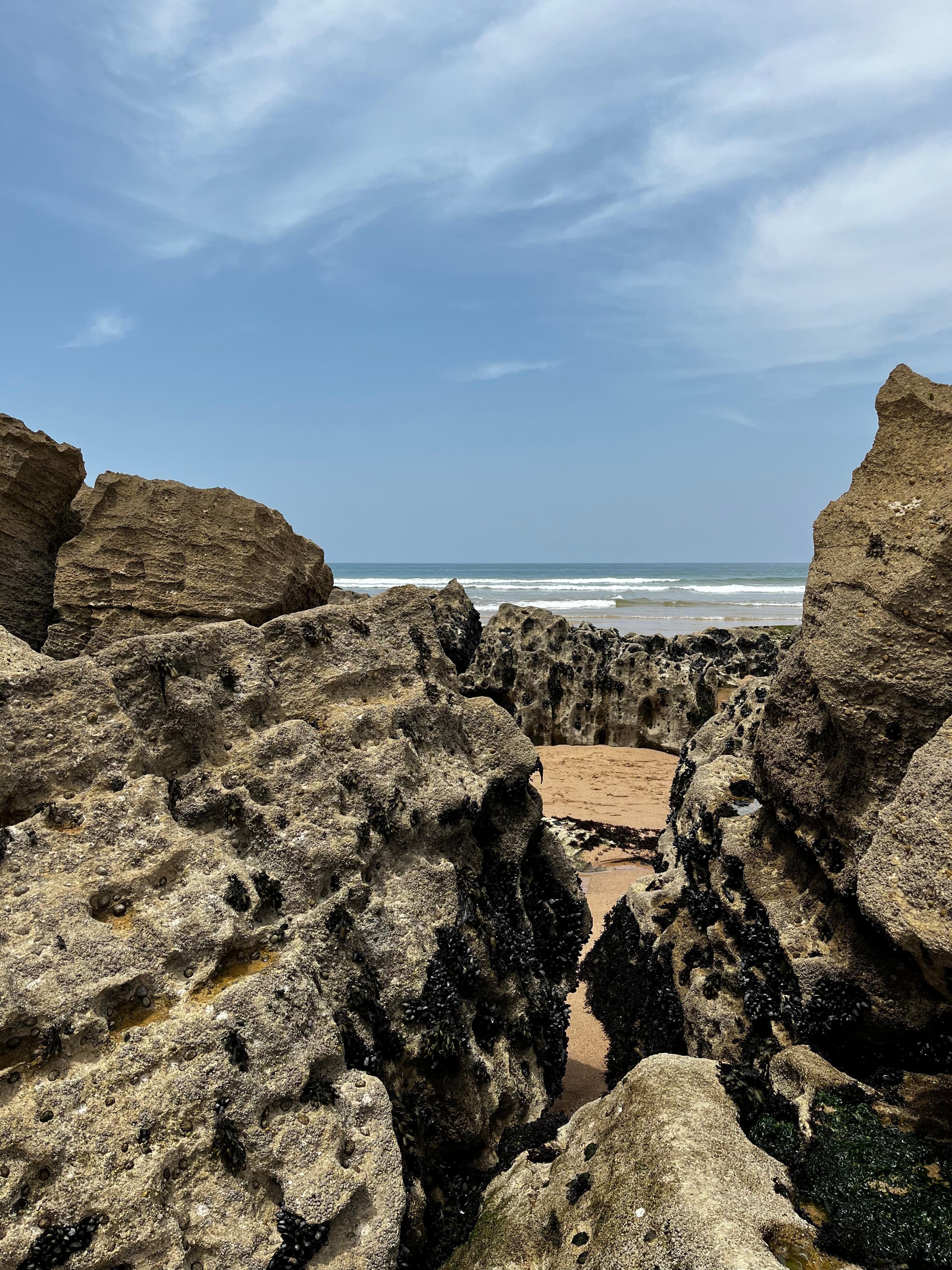 Hiking along the coast