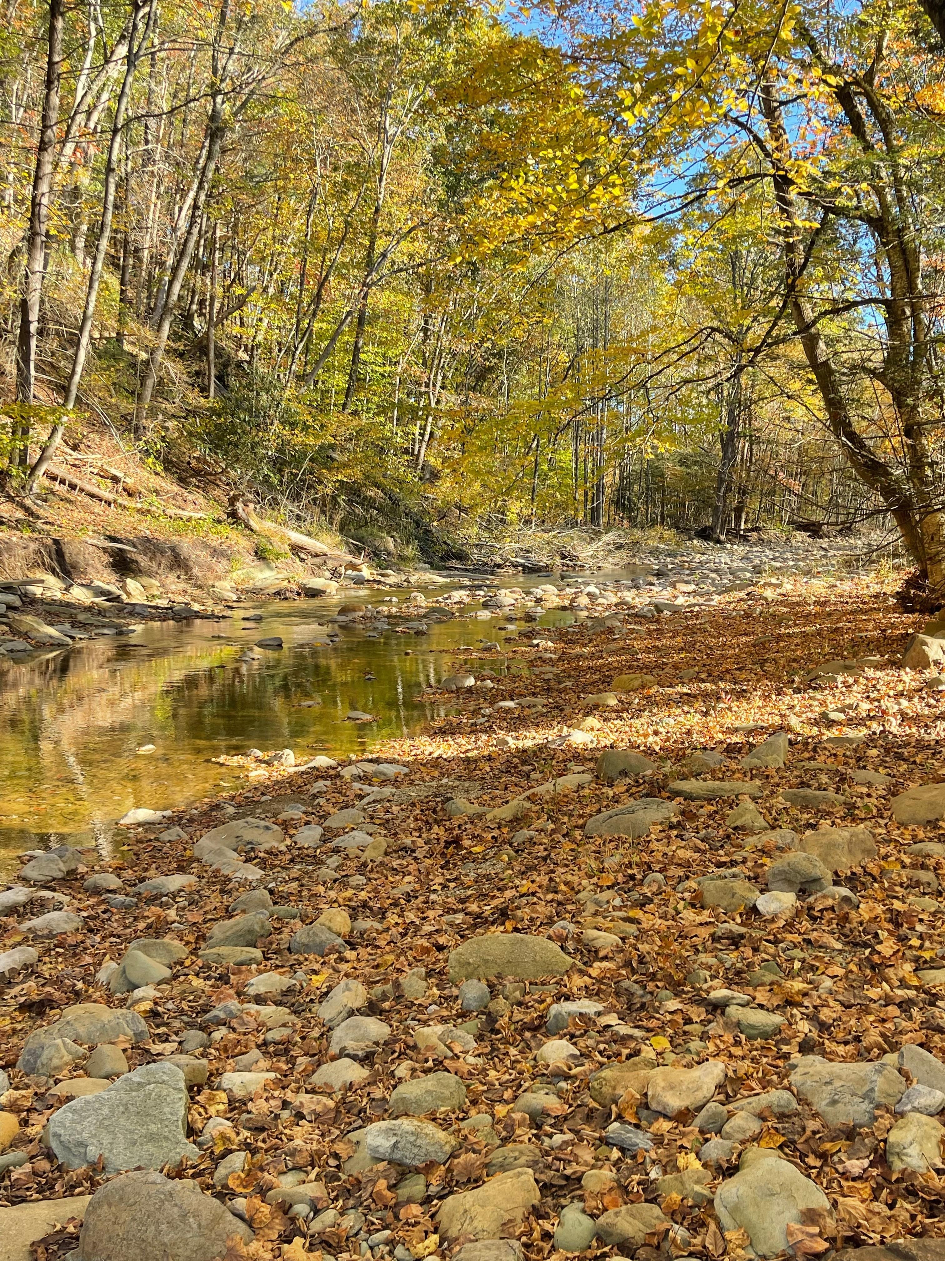 Creek next to cabin
