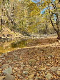 Creek next to cabin