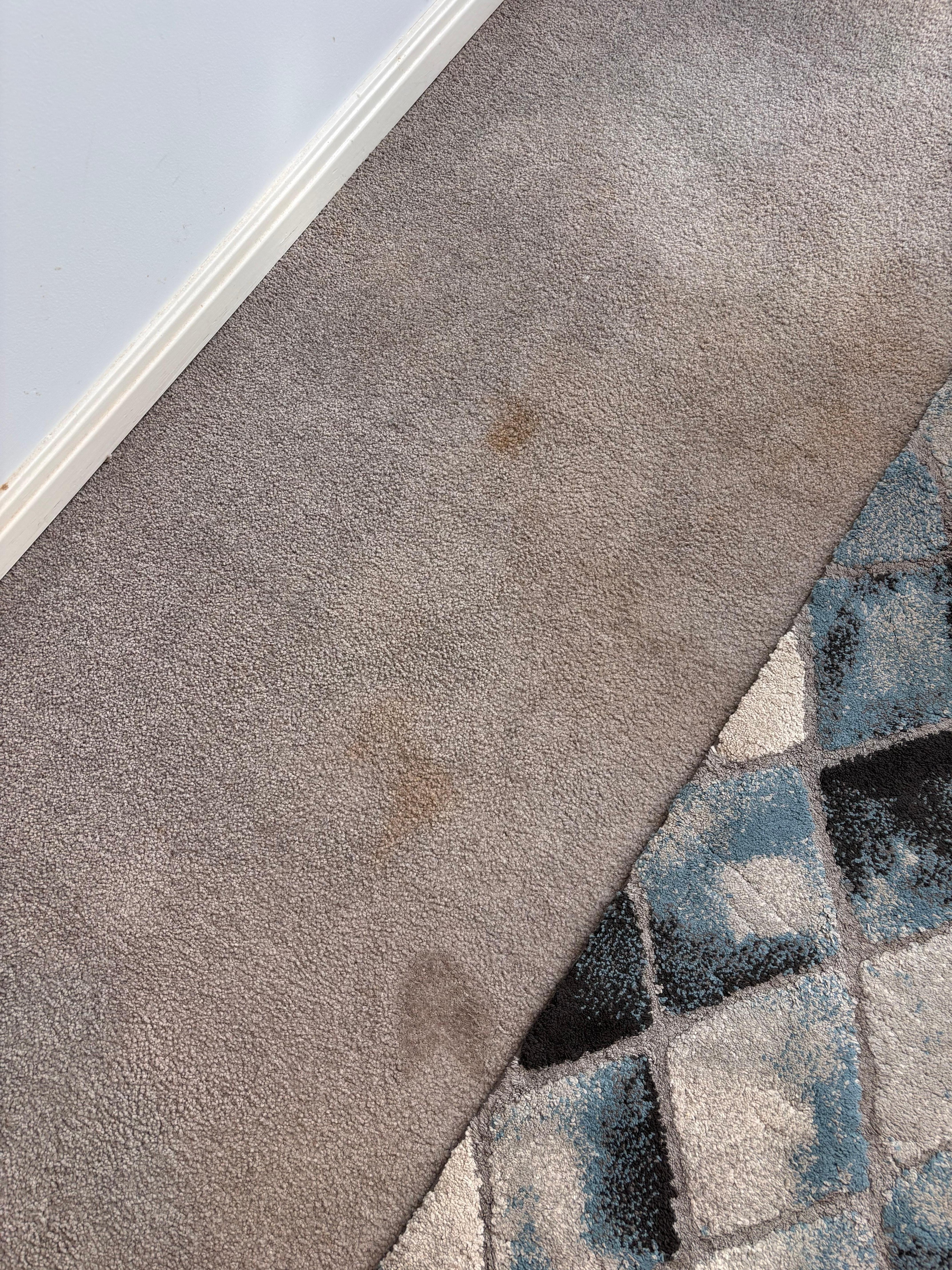 Stained old carpets. 