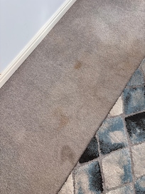 Stained old carpets.