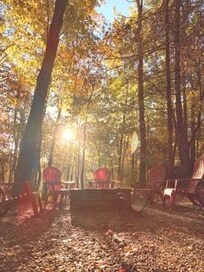 Morning view of the fire pit