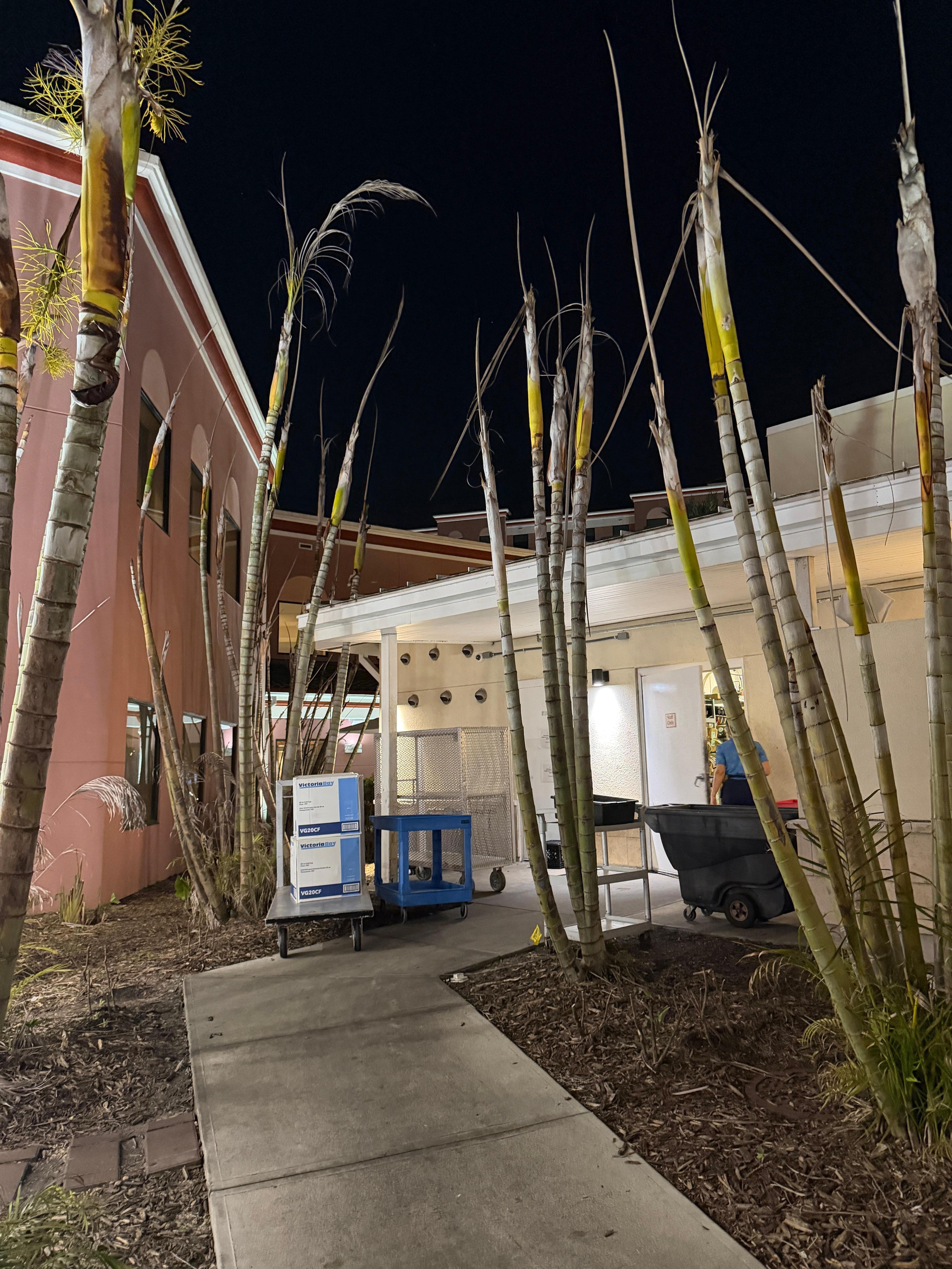 My room “with a view”. Horrible 